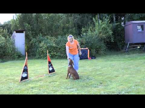 7.-17.7.2014 Doors Danitty