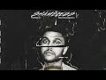The Weeknd - Shameless (Ethan Swope Version)