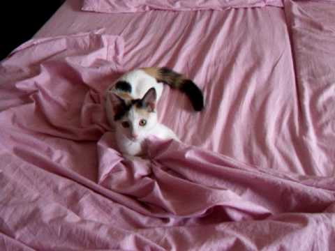 Nihal alle prese con le lenzuola