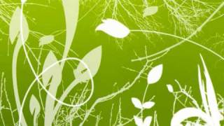 Telefunka - Besame Mucho