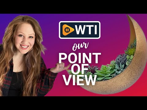 AERLO Wall Mounted Metal Moon Planters - WTI product video review