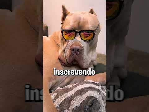 ESSE VÍDEO vai te tornar DALTÔNICO! #shorts