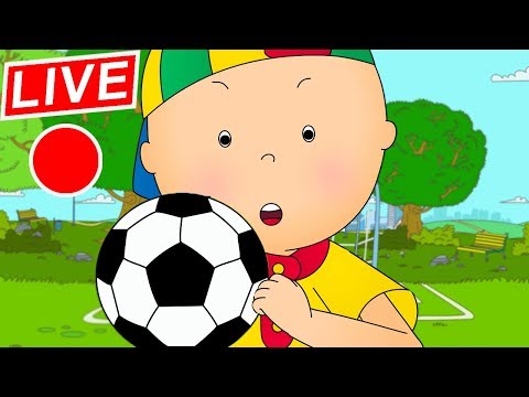 🔴 LIVE Caillou FRANÇAIS - Caillou et le Football | conte pour enfant | dessin animé pour bébé