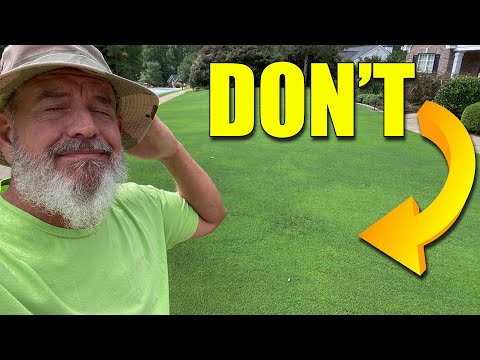 Fall Lawn Preemergent How and When to Apply