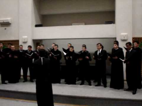 Corala Armonia Constanta