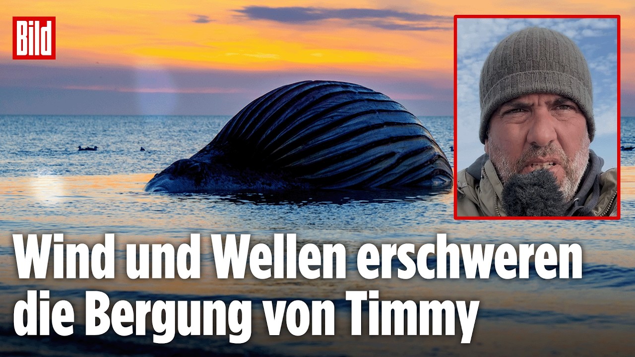 ANHOLT: Neuer Bergungsversuch von Timmy! Akute Explosionsgefahr