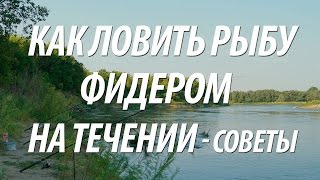 Как закармливать место лова для фидера
