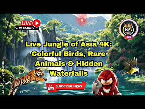 TOP 50 BEAUTIFUL ANIMALS - 4K HDR 120fps Dolby Vision with Animal Sounds (Colorfully Dynamic)