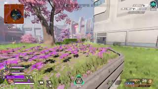 Apexランク