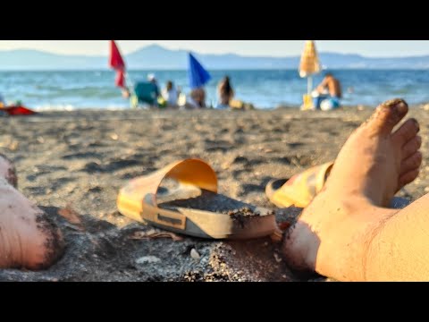 MSTRJ summertime 2023