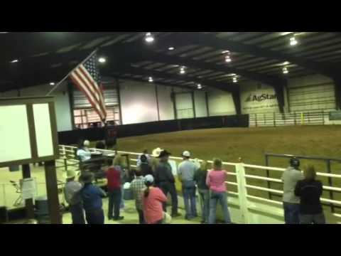 Working cow horse fence work 4-15-16