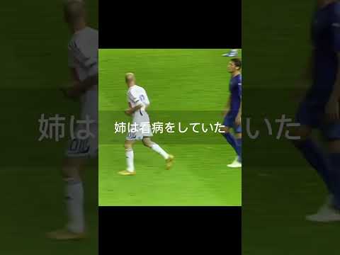 ウミユリの特徴と例