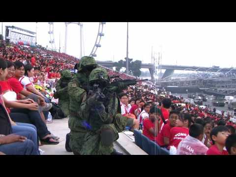 NE1: Total Defence Display