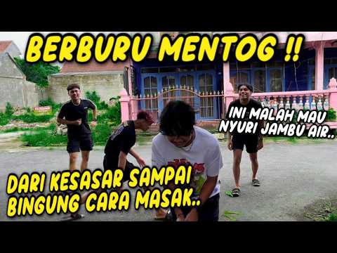 INI JADINYA KALAU Y2K DI SURUH UNTUK MENCARI SESUATU SAMPAI MENGOLAHNYA ! Kacau Banget..