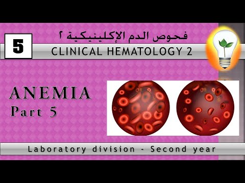 clinical hematology anemia policythemia تقنيات تحاليل الدم الأنيميا