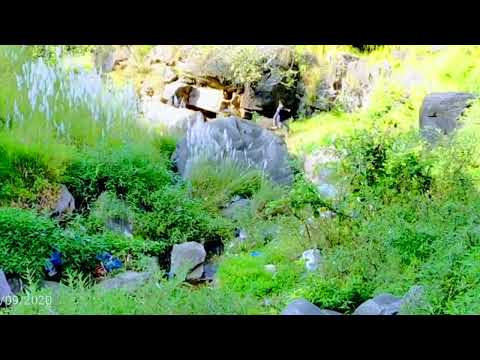 @Awab Dairy🥰#kashmirvalley#viralreel #kashmirbeats #original #orignalvoice#waterfall#rhydm#melody