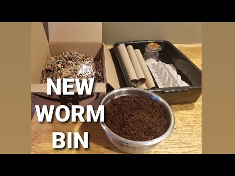 Starting A New Worm Bin | Easy And Simple | Vermicomposting