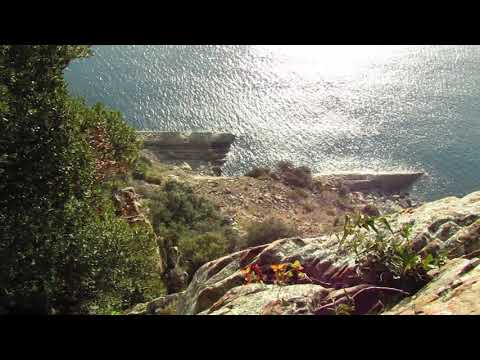 Camminata Levanto - Monterosso al mare