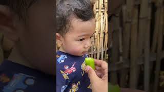Download lagu Abe Makan Belimbing Wuluh #bayilucu #cutebaby #cute #abecekut mp3 Download lagu Abe Makan Belimbing Wuluh #bayilucu #cutebaby #cute #abecekut mp3
