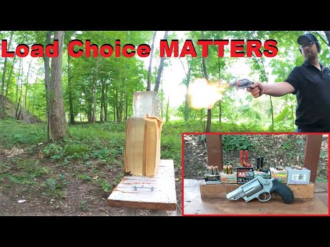 S&W Governor (or Judge) Birdshot for Self Defense? VS .410 Buckshot & .45 Colt/ACP - Ballistic Test