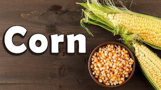 Learn Corn for Kids | Learn About Science for Kids