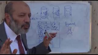 Arterial Disorders (1) - Prof. Dr. Aly Hassib