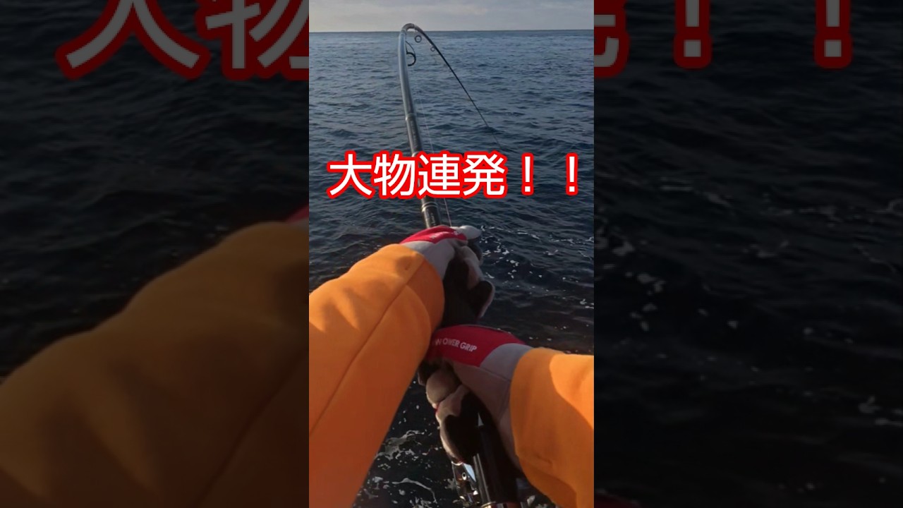 釣り行ったらまさかの大物連発‼️ #釣り #fishing  #shorts