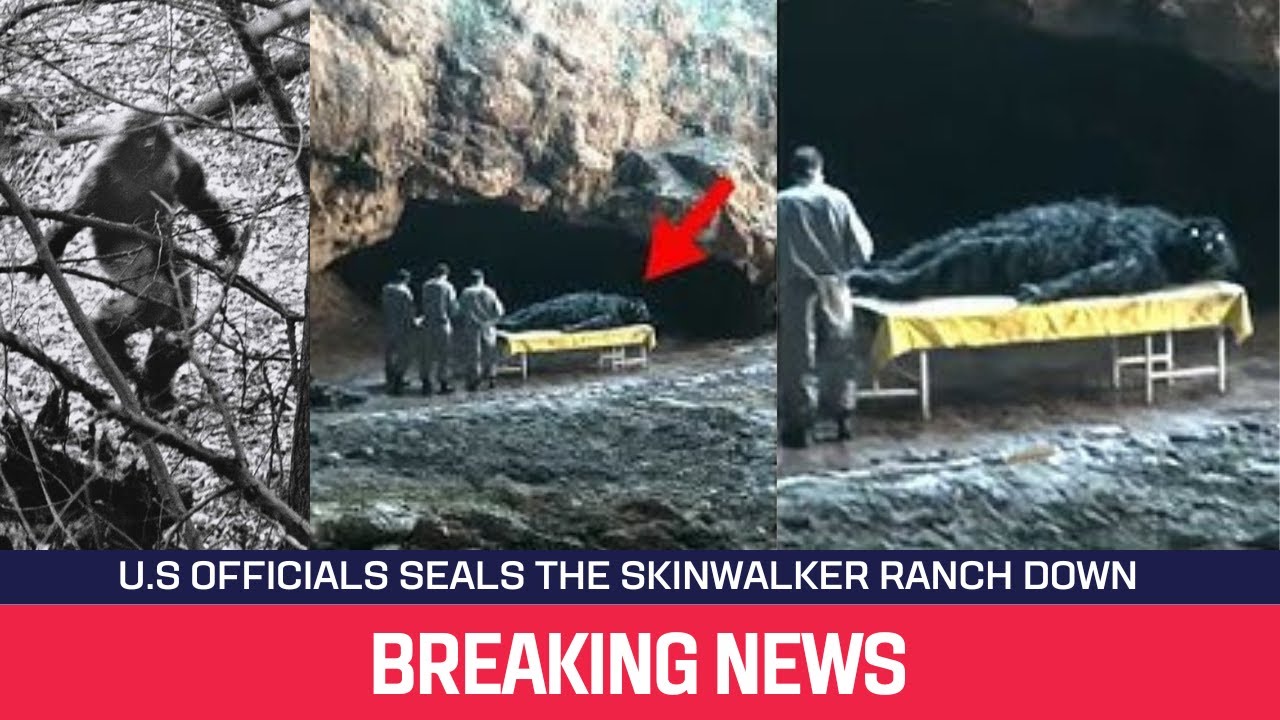 YouTube Thumbnail Downloader FULL HQ IMAGE