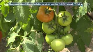 Ինդեքս 26.02.2024