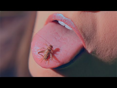 Mia Mormino - "Crickets" (Official Visualizer)