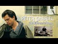 Peter Gabriel - A Different Drum | Drum Cover