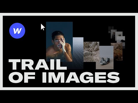 Learn Webflow Ultimate Beginner Crash Course