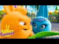 SUNNY BUNNIES Theme Park Season 1 Cartoons For Children WildBrain