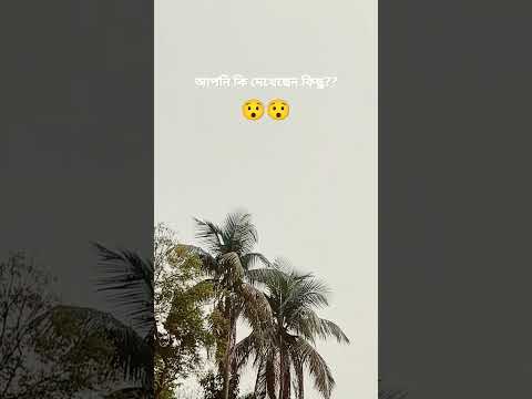 Miracle 😯😯😯