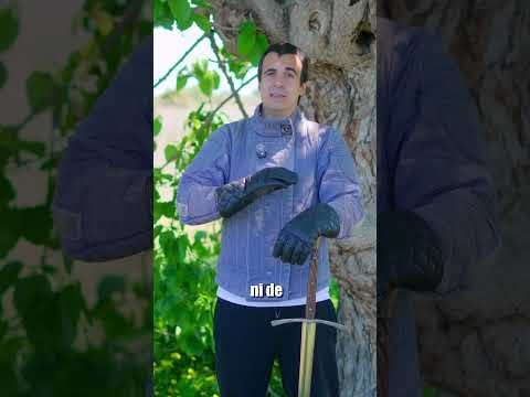 ¿Puedes PARAR BALAS con una ESPADA?⚔️