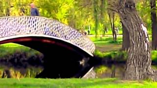 JJ CALE - MISS OL`St  LOUIE