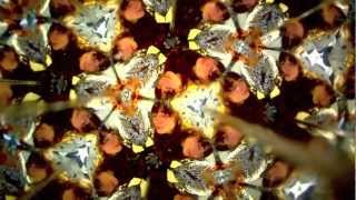 Ballad Of Jim Jones - The Brian Jonestown Massacre