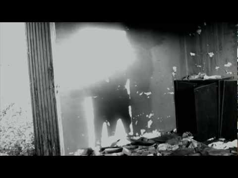 rotte plukken - klokslag 12.mov