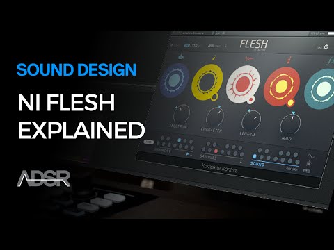 Flesh by Tim Exile / Native Instruments - Features Overview