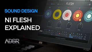 Video thumbnail for Flesh by Tim Exile / Native Instruments - Features Overview by ADSR Music Production Tutorials