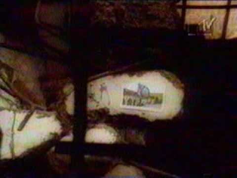 MTV's AMP  libra presents taylor' anomaly ORIGINAL