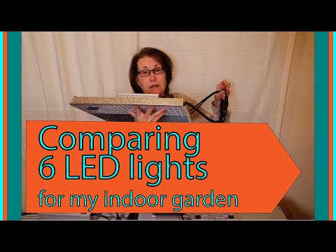 A quick comparison of 6 LED Grow  Lights