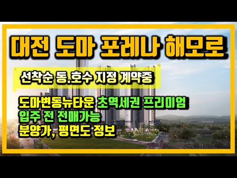 도마 포레나 해모로 대전 도마변동뉴타운 초역세권 프리미엄 줍줍기…