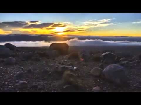 The Soft Rain Of April - Morten Harket
