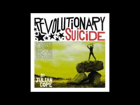 julian cope - revolutionary suicide