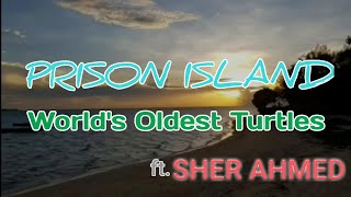 preview picture of video 'Travel VLog EP: 04 | Prison Island | World's Oldest Turtles ft. Sher Ahmed'