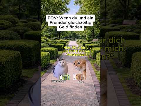 Cat meme 🐱 Wenn du und ein Fremder gleichzeitig Geld finden #relatable #povcat #katze