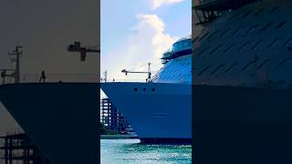 Wonder of the Seas 🛳️ #like #share #comment #subscribe #youtubeshorts #shortvideo #short #shorts
