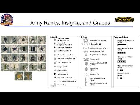 Military Spouses 101: Ranks, Insignias, and Grades