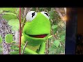 Kermit S Swamp Years Trailer 2002